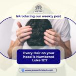 EVERY  HAIR  ON  YOUR  HEAD  IS  NUMBERED