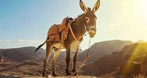 AVAILABLE AND USABLE