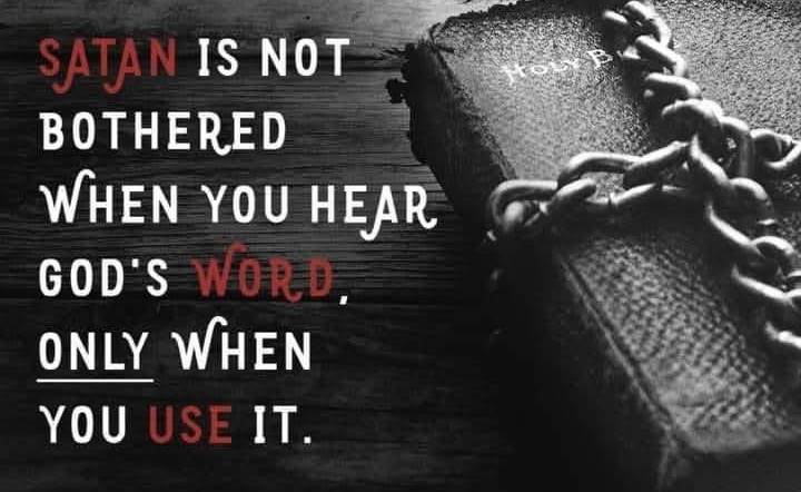 THE SOWER – PART 8