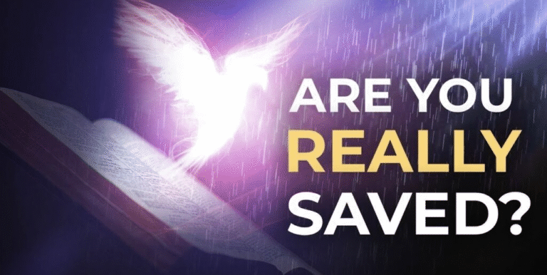 CHAMPION’S SCAR— PART 35