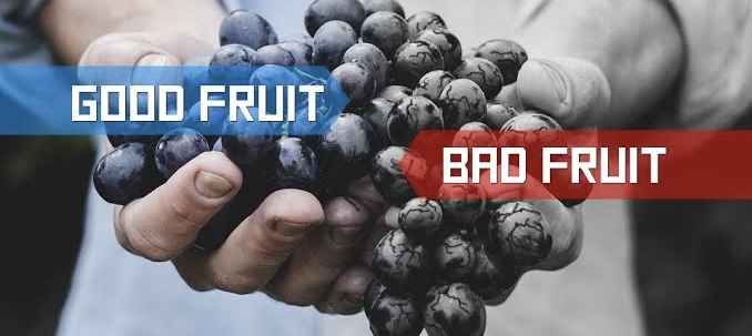 THE SOWER — PART 4