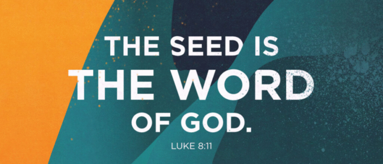 THE SOWER — PART 3