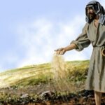 THE SOWER — PART 1