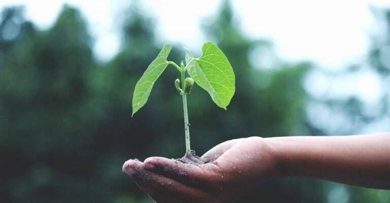 INVEST IN YOUR SPIRIT